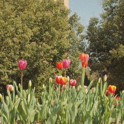 188BET亚洲体育投注