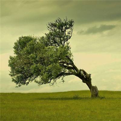 足球游戏app下载