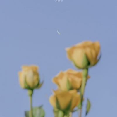 江南体育app官方入口