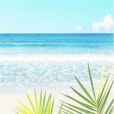 乐彩网app官方正版下载截图