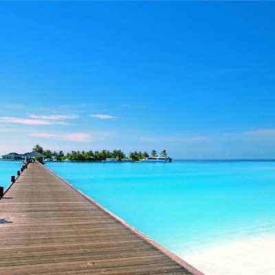 lol外围购买网站