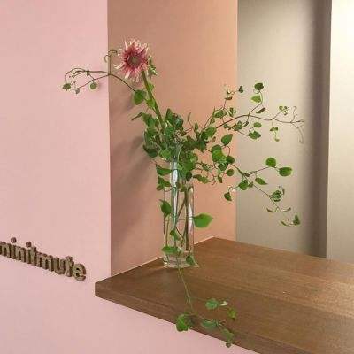 体育投注网址365